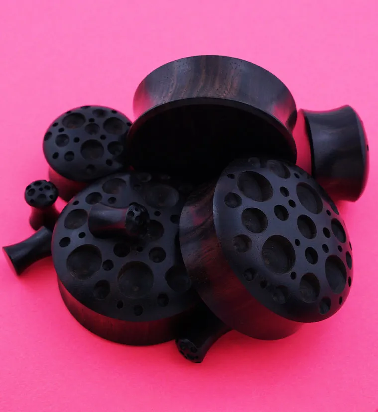 Crater Areng Wood Plugs