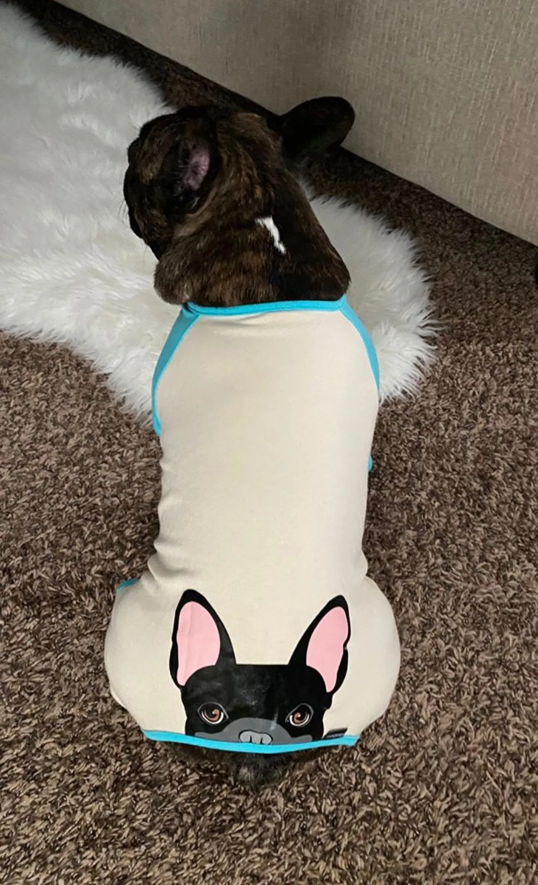 French Bulldog Pajamas in Aqua | Frenchie Clothing | Black Frenchie Dog