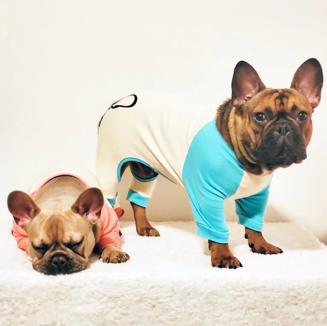 French Bulldog Pajamas in Aqua | Frenchie Clothing | Black Frenchie Dog