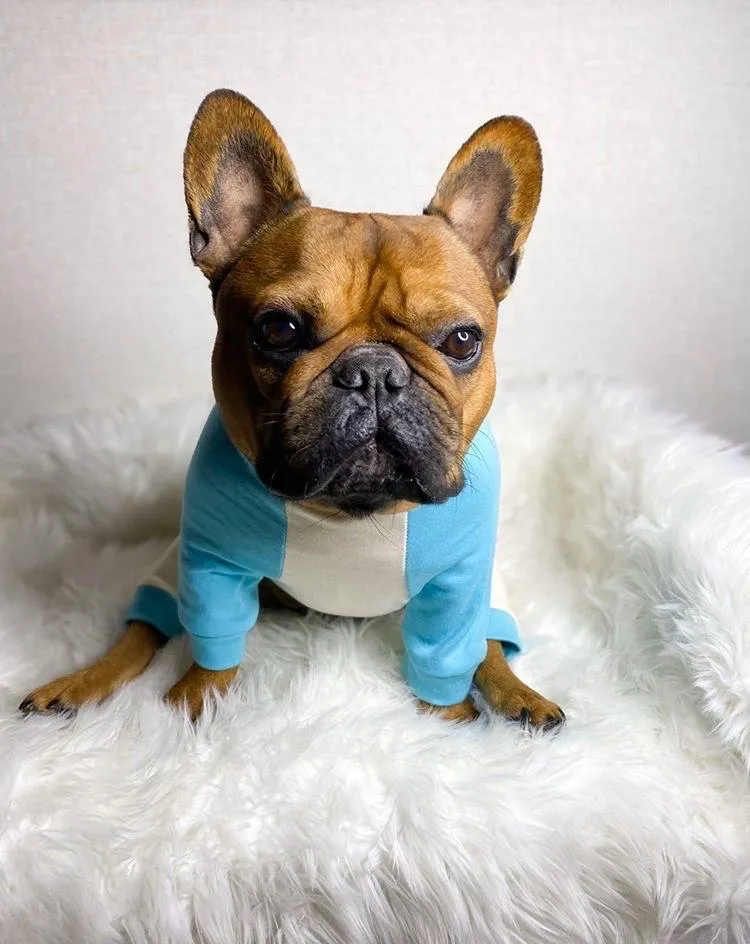 French Bulldog Pajamas in Aqua | Frenchie Clothing | Black Frenchie Dog