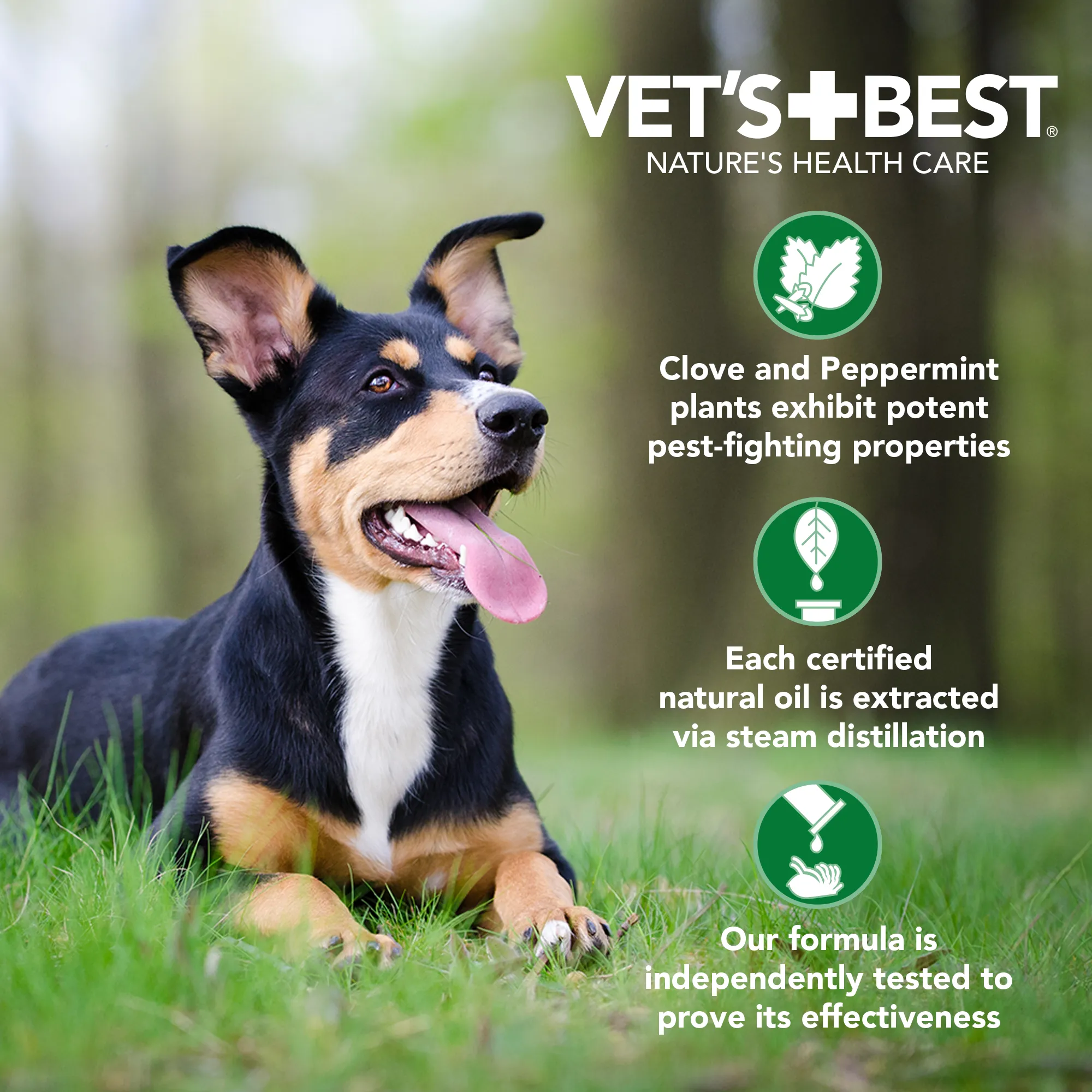 Vet's Best Flea and Tick Shampoo 12oz